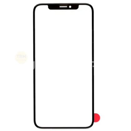 Cristal con Oca iPhone X / XS *